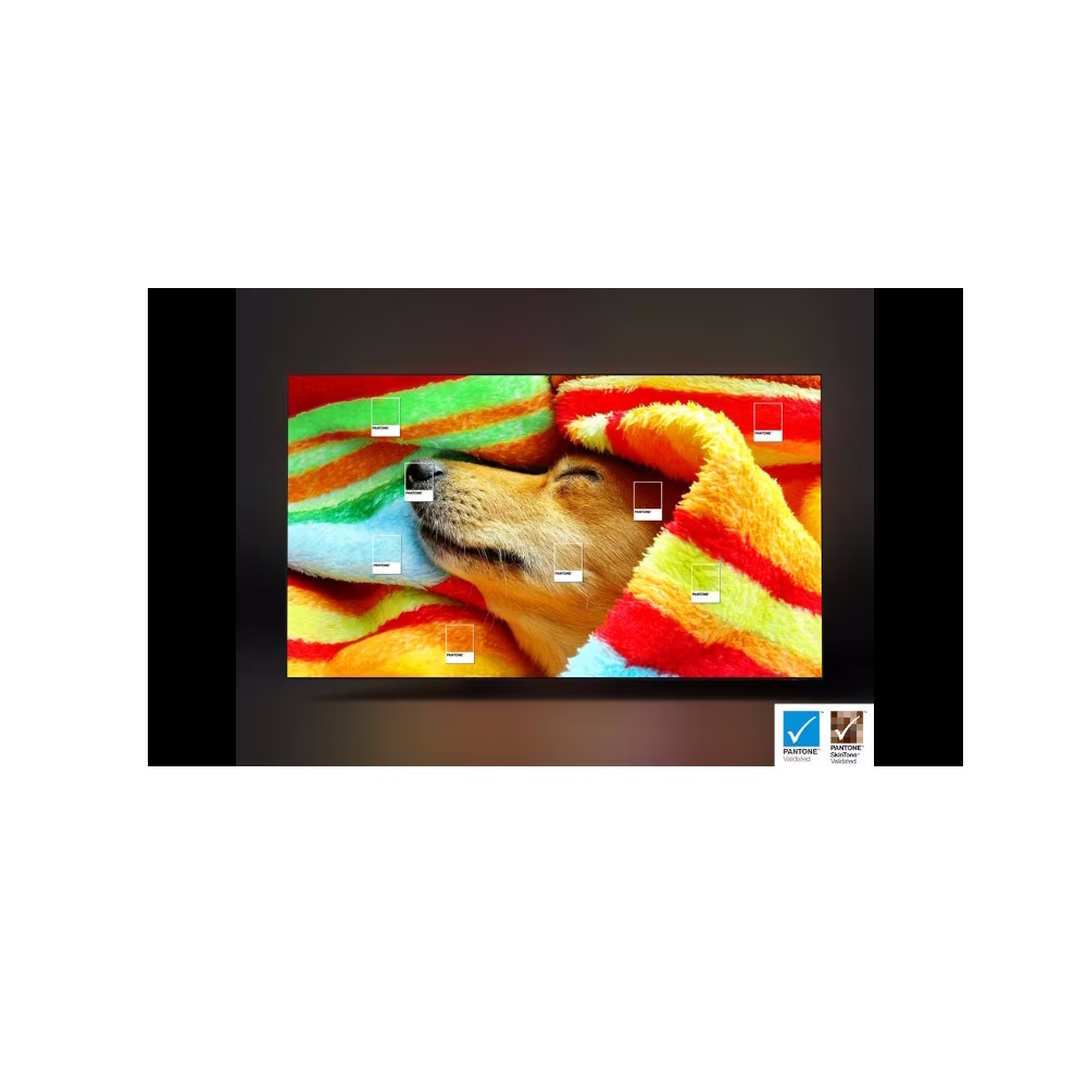 Τηλεόραση Samsung Neo QLED 65" 65QN85C 4K Smart - Ηλεκτρικές Συσκευές | Ηλεκτρικά Είδη